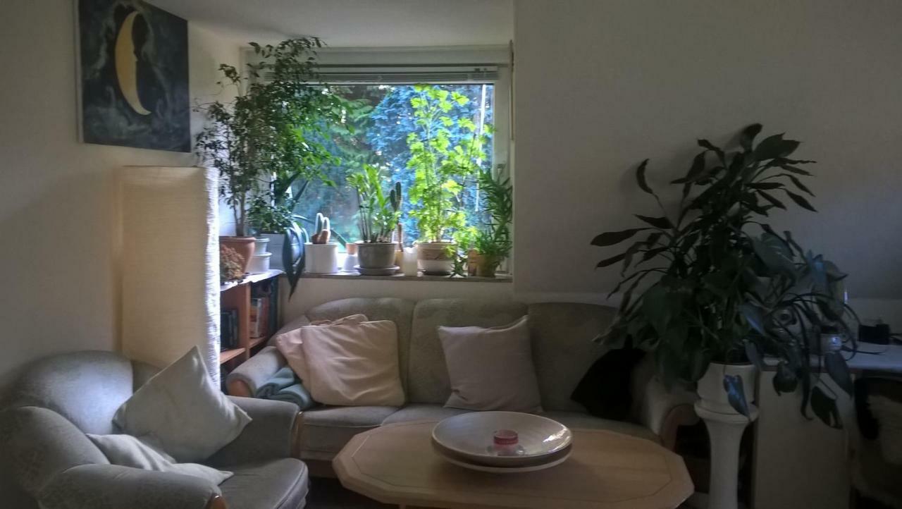 Gemütl. Ferienwohnung und Privatzimmer Hamburg Exterior foto